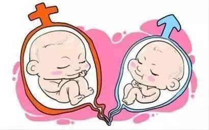 Geri培养箱